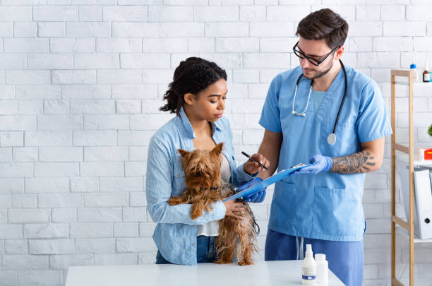 Three Essential Benefits Of Visiting A Veterinarian Regularly