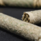 Roll Up the Fun: The Pre Rolled Experience